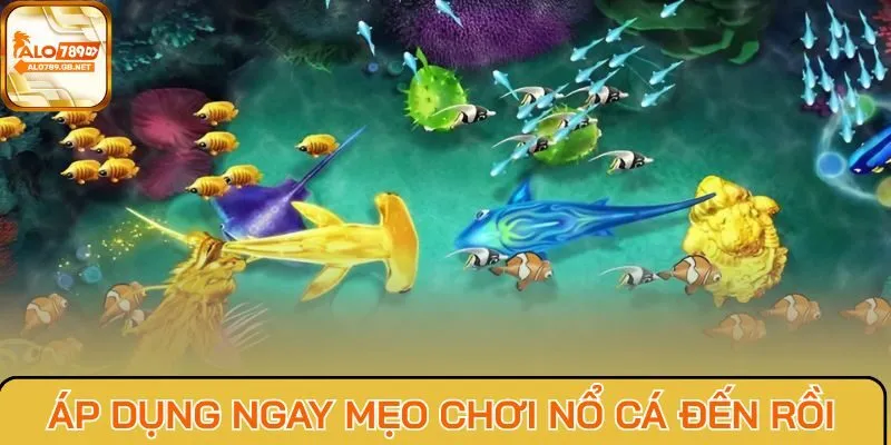 Áp dụng ngay mẹo chơi Nổ Cá Đến Rồi