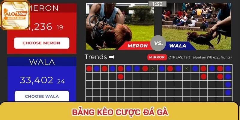 Bảng kèo cược chọi gà
