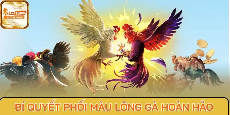 Bí quyết phối màu lông gà hoàn hảo