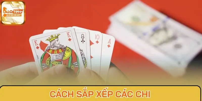 Cách sắp xếp các chi