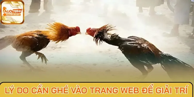 Lý do cần ghé vào trang web để giải trí