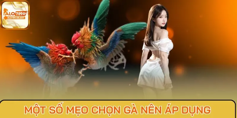 Một số mẹo chọn gà nên áp dụng
