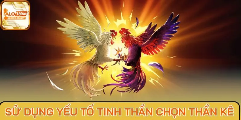 Sử dụng yếu tố tinh thần chọn thần kê