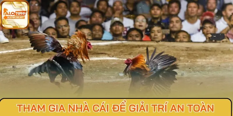 Tham gia nhà cái để giải trí an toàn