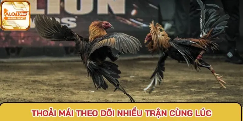 Thoải mái theo dõi nhiều trận đấu cùng lúc tại Alo789.gb.net