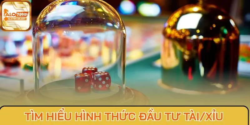 Tìm hiểu hình thức đầu tư tài/xỉu