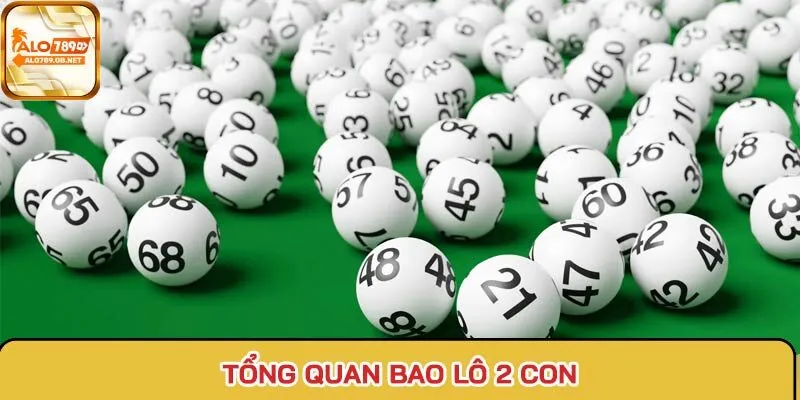 Tổng quan bao lô 2 con