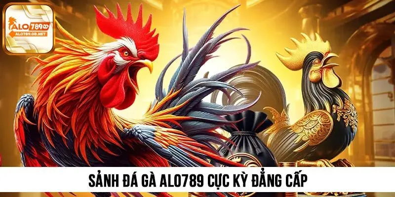 Nhà cái nổi bật với sảnh Đá gà đẳng cấp, nhiều tiện ích đi kèm